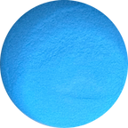 VINTAGE CHRISTMAS “Estrella Polar”