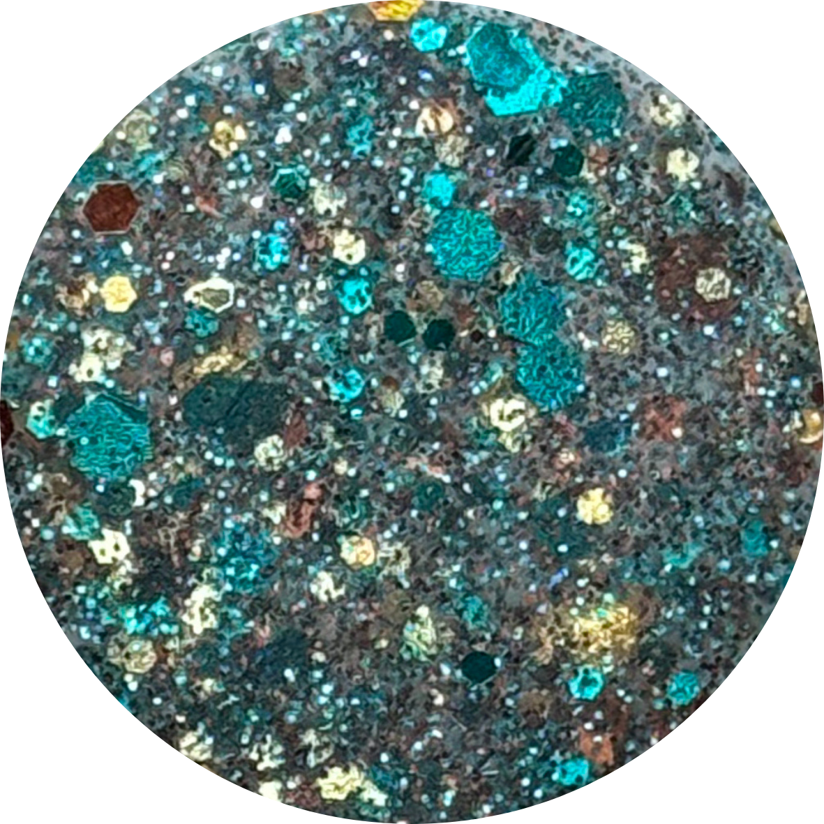 OLD MONEY CHRISTMAS “Tartan Library”