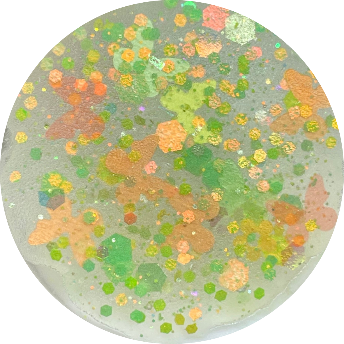 Butterfly Garden Collection “Citrus Butterfly”