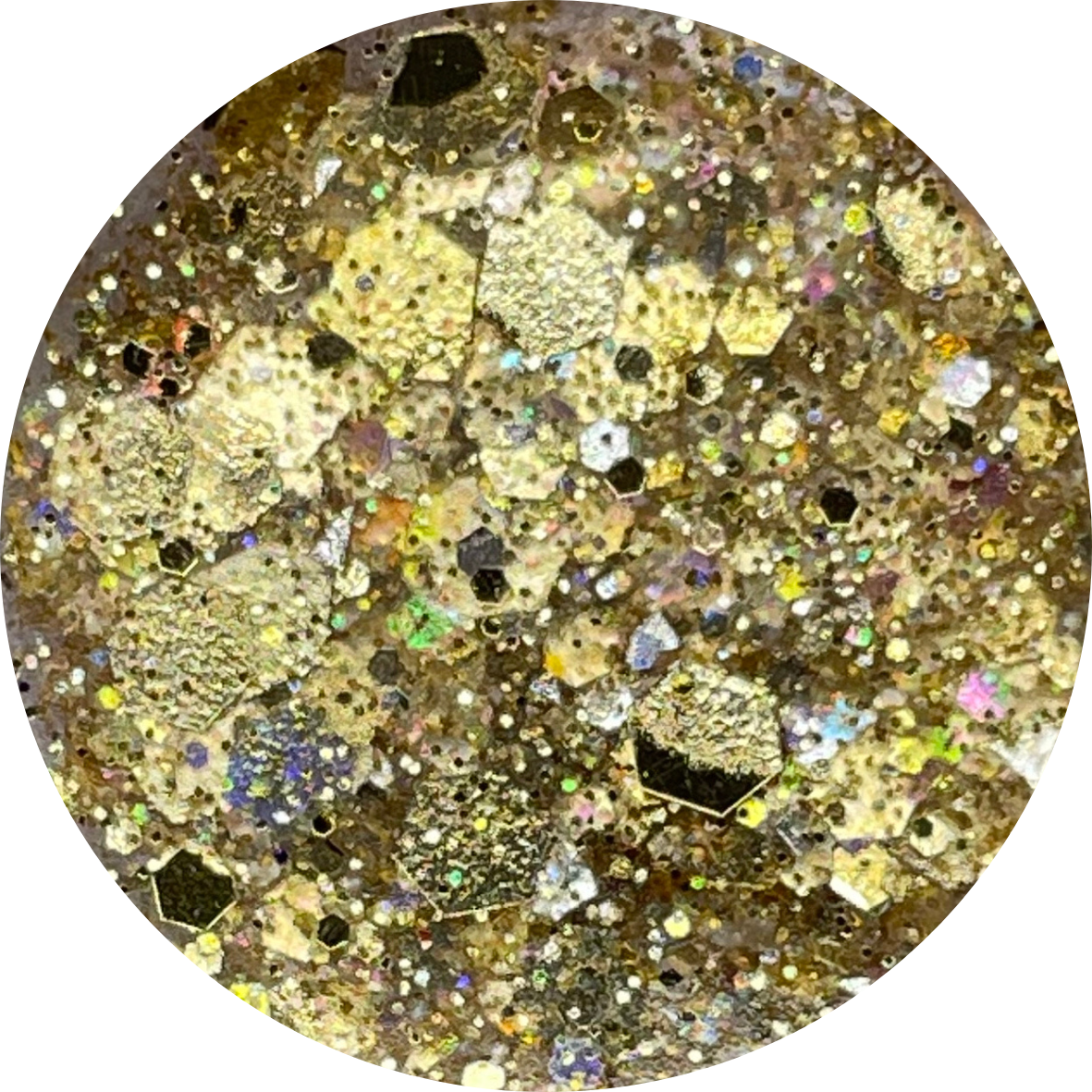 HOLLY JOLLY “Jingle Bells”