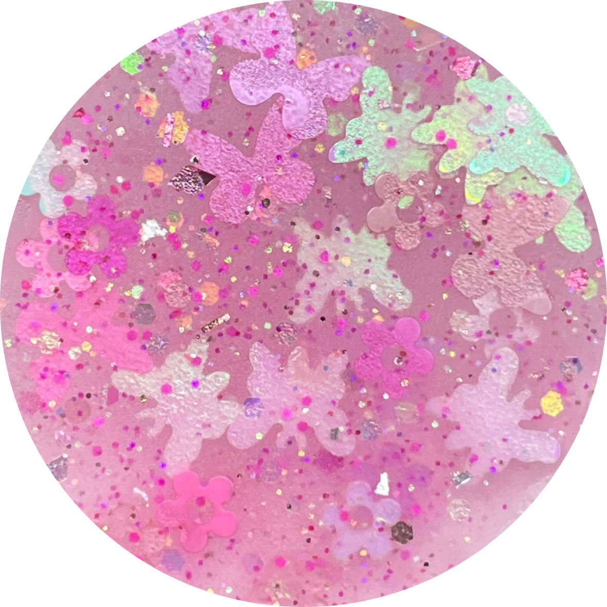 Butterfly Garden Collection “Butterflies & Blooms”